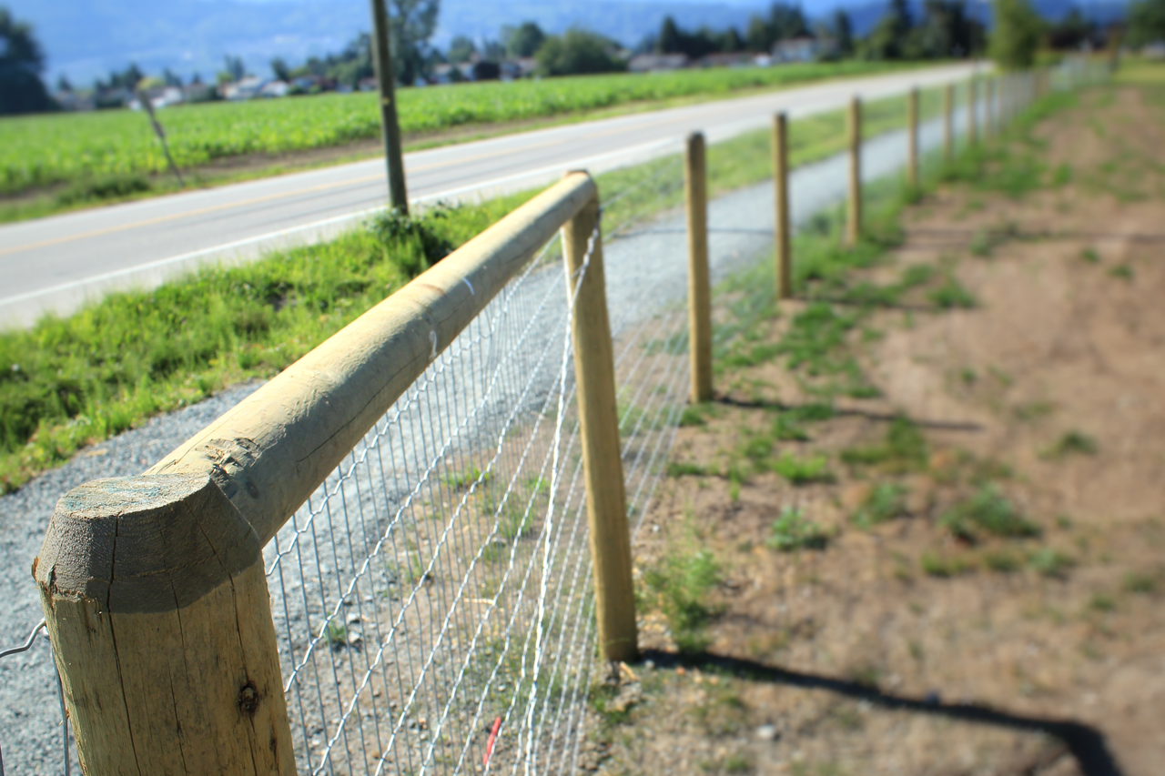 Foremost Fencing Chilliwack Chilliwack fence contractor chain link